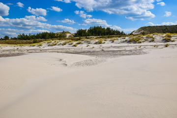 Ruchome wydmy na terenie Słowińskiego Parku Narodowego
