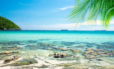 Fototapeta na wymiar Coconut trees on the beach for summer vacation concept 