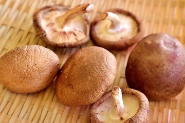 Shiitake mushrooms are dried in the sun for the soup stock.