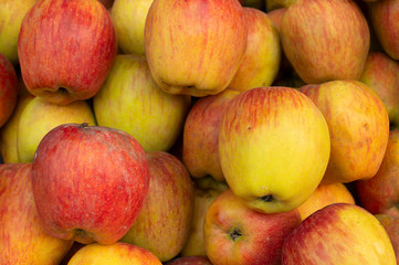 Apples, Malus domestica, an edible fruit produced by an apple tree, are displayed for sale at New Market area, Kolkata, West Bengal, India.