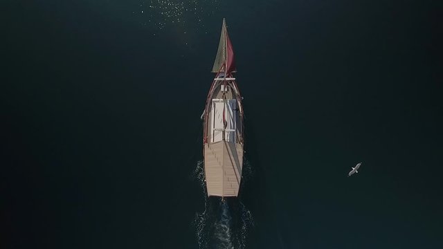 AERIAL DRONE TOP DOWN SHOT FOLLOWING ANTIQUE SAILBOAT IN DEEP BLUE SEA AND SEAGULL PASSING BY