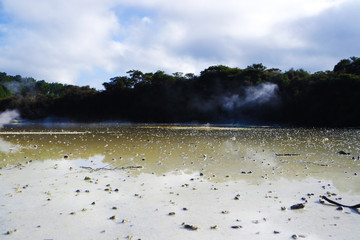 Trees reflected on the lake surface