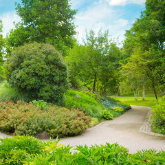 Park with beautiful trees, shrubs and a decorative staircase.