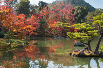 Kinkakuji (Golden Pavilion) in Kyoto, Japan