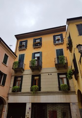 The low-rise residential building with plants on the windows in the historic center of Verona