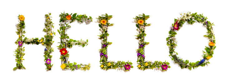 Flower, Branches And Blossom Letter Building English Word Hello. White Isolated Background