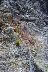 Geothermal national park