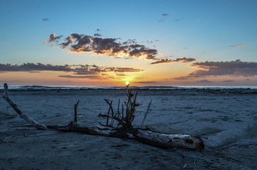 spring summer sunset with branch background dragged by storm