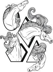 Framed portraits of horses.