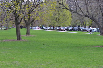 park in the summer