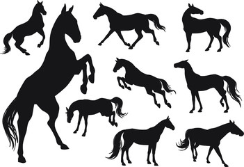 Silhouettes of horses. Set