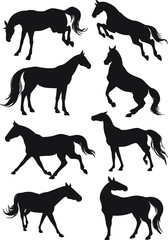 Silhouettes of horses. Set