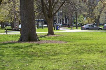 park in the city