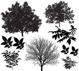 Collection of silhouettes of walnut trees and leaves