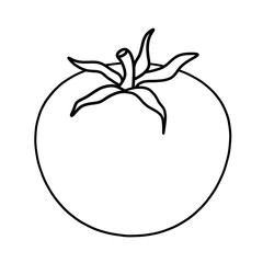 Tomato, abstract, drawing. Raster illustration