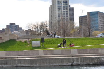 people walking in the park