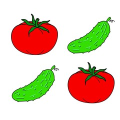 Tomato and cucumber, drawing. Raster illustration
