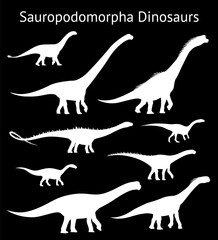 Silhouettes of sauropodomorpha dinosaurs. Set. Side view. Monochrome vector illustration of white silhouettes of dinosaurs isolated on black background. Sauropoda. Proportional dimensions.