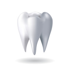 Tooth Healthy Human Anatomy Oral Organ Vector. White Tooth With Health Enamel Dental Protection And Treatment. Medical Care And Hygiene Stomatology Template Realistic 3d Illustration