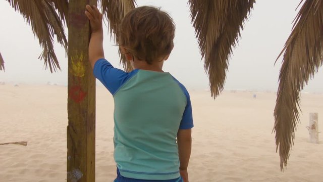 Little boy Watching the Beach