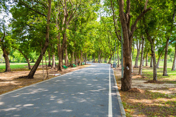 Running track with shade under the trees in public park in summer with green nature background.