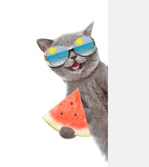 Happy cat wearing mirrored sunglasses holds watermelon and looks from behind empty white banner. isolated on white background