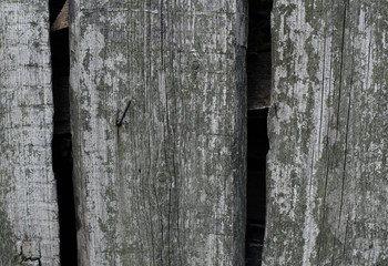 Wooden boards. Tree structure. Old peeling paint. Wooden fence, door.