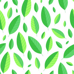 Seamless leaf pattern on white. Green leaves background