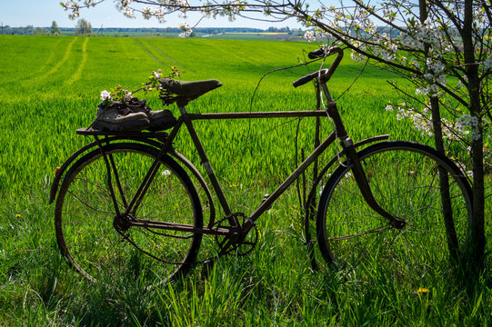 Old bicycle with pair of hiking boots in a garden