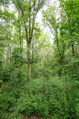 Obraz premium Der Meerbusch