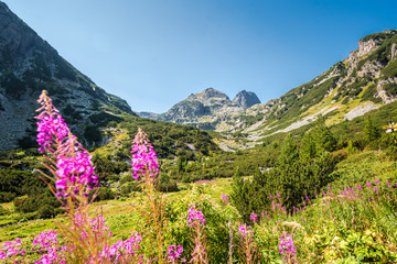 Obraz na płótnie Canvas Beautiful summer mountain scenery. Rila mountain , Bulgaria. Maliovitza peak. 