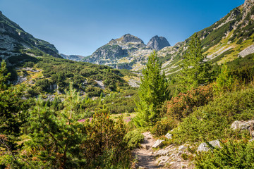 Beautiful mountain scenery in a sunny summer day. Rila mountain, Bulgaria. Hiking/ trekking concept.