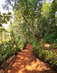 footpath in the park