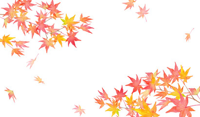 赤く色づいた秋の紅葉の枝と落葉。水彩イラスト。２隅装飾フレームデザイン。