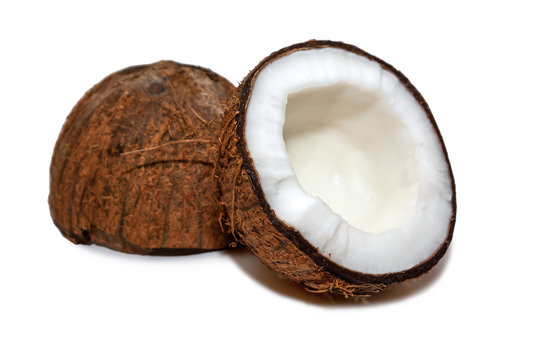 Coconut Fruit