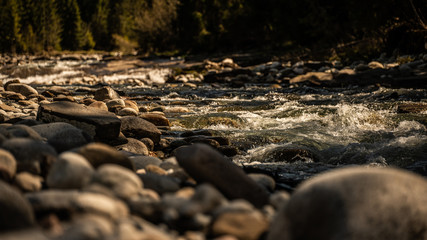 mountain stream - water from a stream