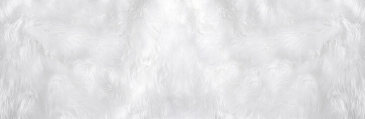 Wide animal white wool sheep background in top view light natural. Grey fluffy seamless cotton panoramic texture. Wrinkled lamb fur coat skin, rug mat raw material,  fleece woolly textile concept - obrazy, fototapety, plakaty