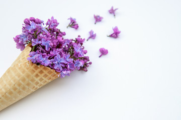 flower composition. Lilac flowers in an ice cream cone on a white background. Flat lay, space for text. Valentine's day, mother's day, womens day concept.