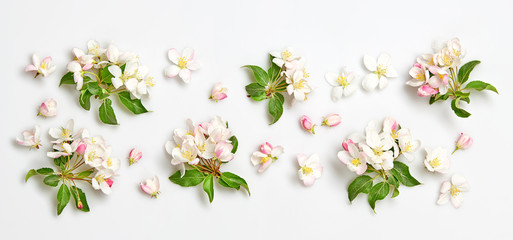 Blossom spring pattern on white background. Beautiful pink bloom flowering wallpaper, top view. Creative fashionable trendy flat lay. Springtime blooming concept, banner