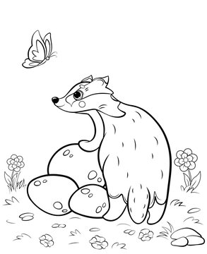 Coloring page outline of cute cartoon badger. Vector image with nature background. Coloring book of forest wild animals for kids