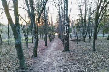 park at sunset in rural countryside at spring