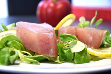 Rohes Thunfisch Filet
