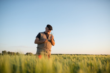 Farmer in a wheat field checking crop. Agricultural concept