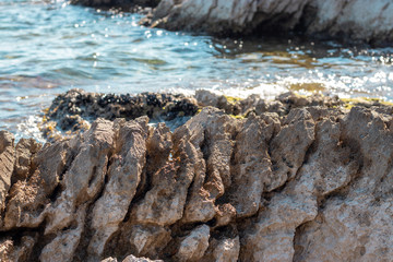 Close view of a serrated sharp rock on the shore of adriatic sea