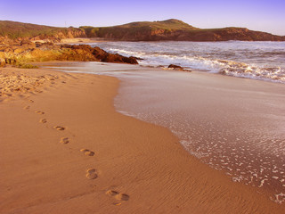 Empty Beach in  California 