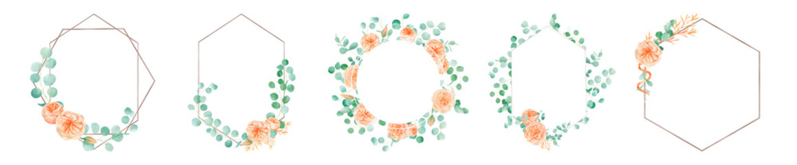 Peach and Orange Watercolor Rose Flower Frame set Background with English Rose Austin and Eucalyptus