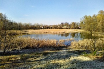 Lake near forest at sunny spring day