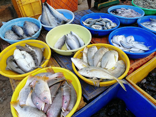 Open-air day market with fresh seafood in India