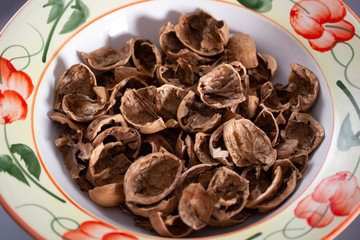 Texture, empty shell from a walnut.