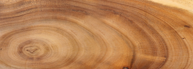 Background of vintage wooden texture.